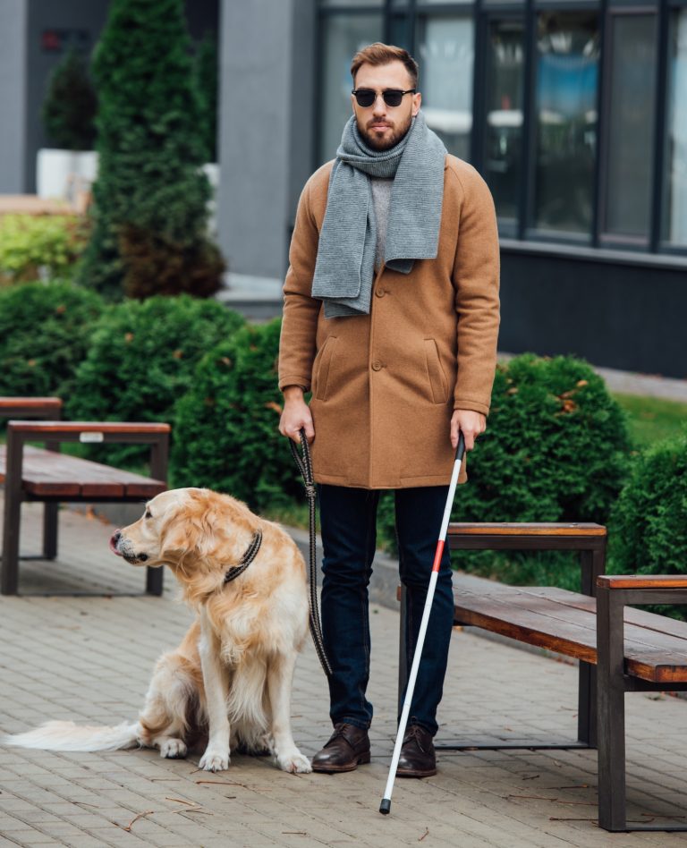 A blind man standing with a guide dog.