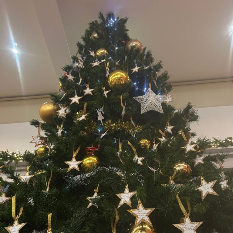 This is an image of our Forget Me Not Tree in 2024 taken from the ground looking up at the tree. You can see the stars in memory of a loved one.